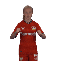 Happy Football Sticker by Bayer 04 Leverkusen