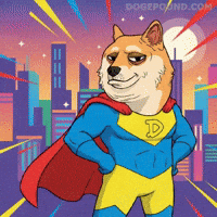 Shiba Inu Wow GIF by Doge Pound