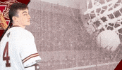 Roll Pards GIF by Lafayette Leopards