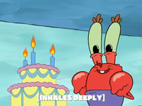 season 5 GIF by SpongeBob SquarePants