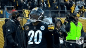 Pittsburgh Steelers Football GIF by NFL