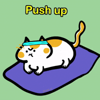 Cat Push Up GIF by Poku Meow