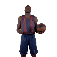 Liga Endesa Sport Sticker by ACB