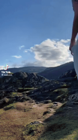 mad.co GIF Maker