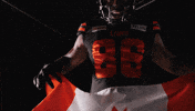 Canadian Football GIF by BC Lions