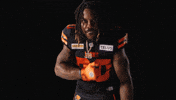 Football Vancouver GIF by BC Lions
