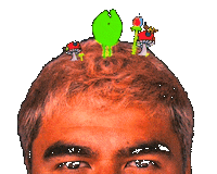 Calum Hood Wildflower Sticker by 5 Seconds of Summer