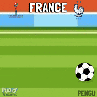 France Football GIF by Pudgy Penguins