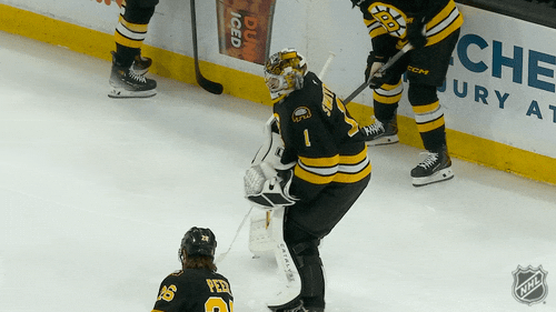 Sliding National Hockey League GIF by NHL