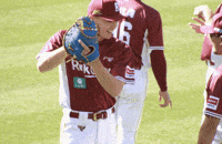 Baseball GIF