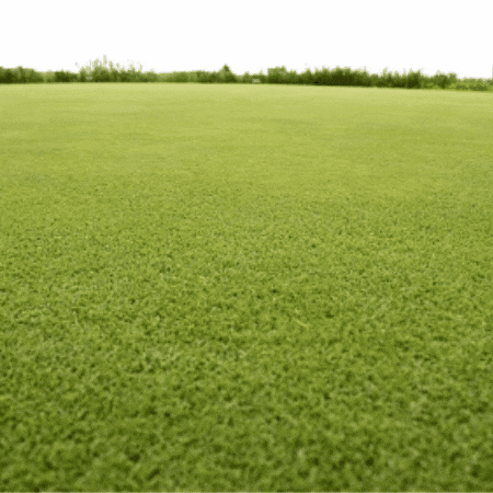 Snail Mail GIF by TeaCosyFolk