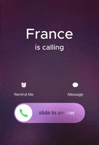 France GIF