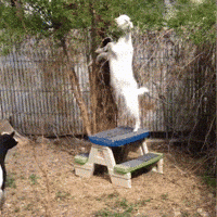 failure GIF