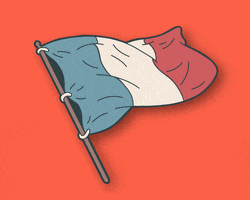 France Flag GIF by Homme Jaune
