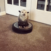 Mood Roomba GIF by JustViral.Net
