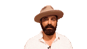 Drew Holcomb And The Neighbors Election Sticker by Drew Holcomb
