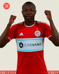 Vamos Chicago Fire GIF by Chicago Fire Football Club