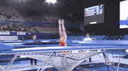 Bounce Trampoline GIF by FIG Gymnastics