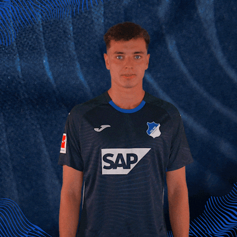Sport Bundesliga GIF by TSG Hoffenheim