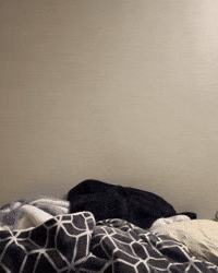 Dog Puppy GIF
