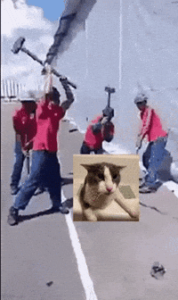 Cat Hit GIF