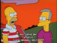 Season 1 GIF by The Simpsons