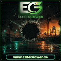 Trending Explore GIF by EliteGrower