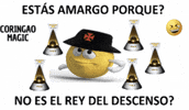 Vasco Da Gama GIF