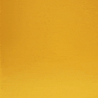 Happy Fun GIF by MyRenova