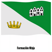 Comunidad Valenciana Bandera GIF by Formación Ninja