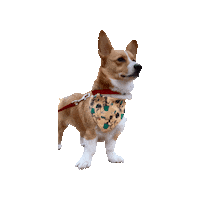 Baby Groot Corgi Sticker by Geekster Pets