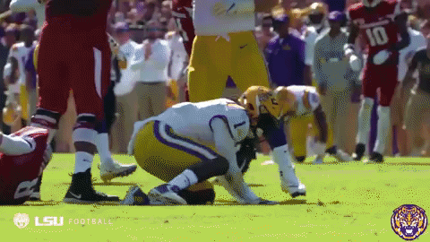 College Sports Sport GIF by LSU Tigers