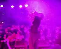 Kansas City GIF by Massacre Music