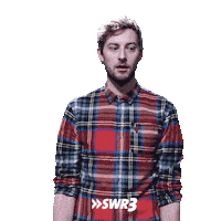 Idiot What Sticker by SWR3