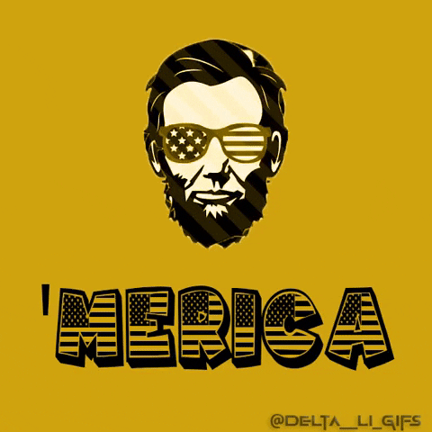 Independence Day Usa GIF by Delta__Li