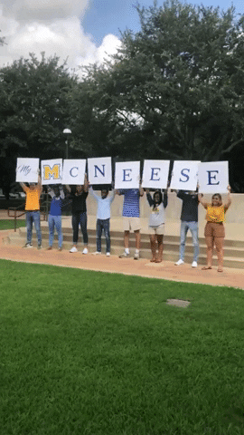 Wave Cowboys GIF by McNeese State University