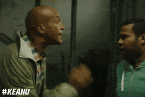 Scared Key And Peele GIF by Keanu Movie