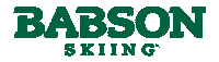 Team Go Sticker by Babson College