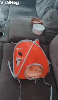 Tiny Tent for Pet Rat