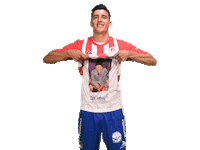 AtletiDeSanLuis soccer goal futbol gol Sticker