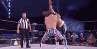 Snoop Dogg Aew On Tnt GIF by All Elite Wrestling on TNT