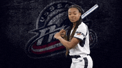 Florida Softball GIF by USSSA Pride