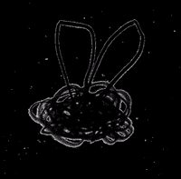 kazland bug 2 GIF