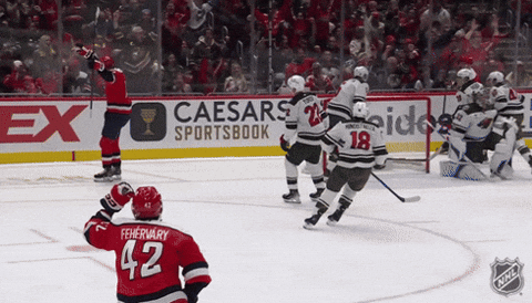 Happy National Hockey League GIF by NHL