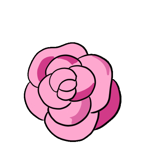 Rose Rosa Sticker