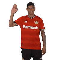 Go Away Goodbye Sticker by Bayer 04 Leverkusen