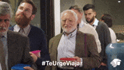 Meme Harold GIF by Aeromexico