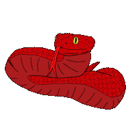 Serpiente Ilustracion Digital Sticker