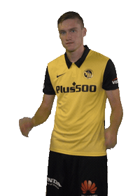 Check Ok Sticker by BSC Young Boys