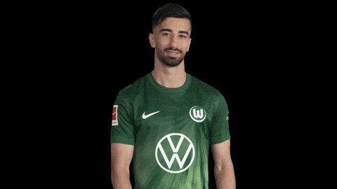 Bundesliga No GIF by VfL Wolfsburg
